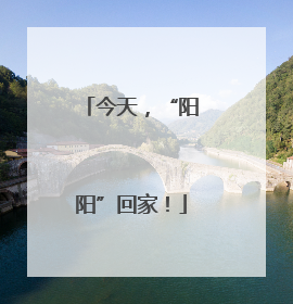 今天，“阳阳”回家！