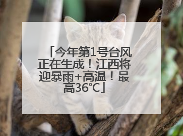 今年第1号台风正在生成！江西将迎暴雨+高温！最高36℃