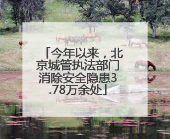 今年以来，北京城管执法部门消除安全隐患3.78万余处