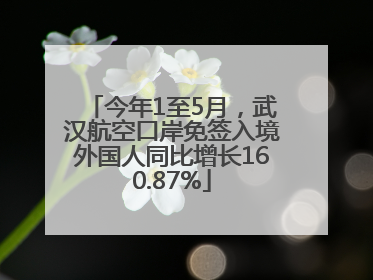 今年1至5月，武汉航空口岸免签入境外国人同比增长160.87%