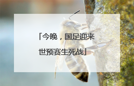 今晚，国足迎来世预赛生死战