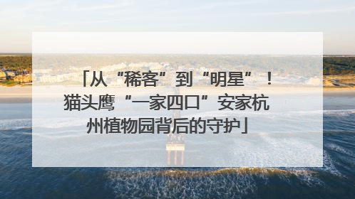 从“稀客”到“明星”！猫头鹰“一家四口”安家杭州植物园背后的守护