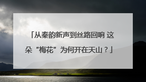 从秦韵新声到丝路回响 这朵“梅花”为何开在天山？