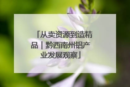 从卖资源到造精品｜黔西南州铝产业发展观察