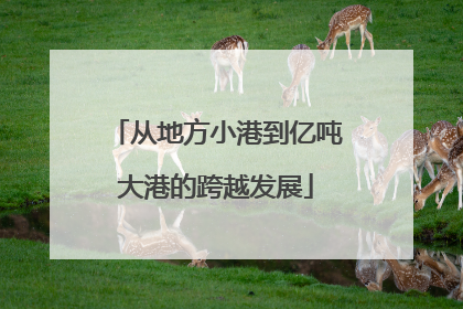 从地方小港到亿吨大港的跨越发展
