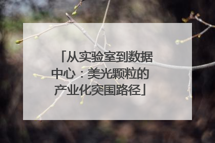 从实验室到数据中心：美光颗粒的产业化突围路径