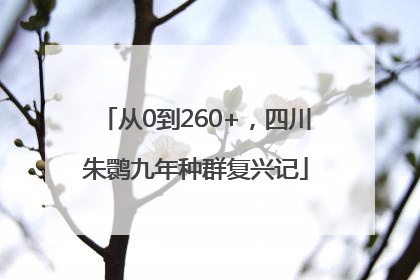 从0到260+，四川朱鹮九年种群复兴记