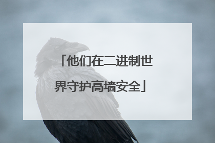 他们在二进制世界守护高墙安全