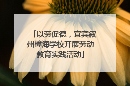 以劳促德，宜宾叙州樟海学校开展劳动教育实践活动