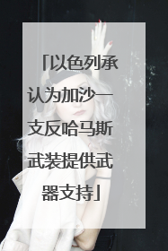 以色列承认为加沙一支反哈马斯武装提供武器支持