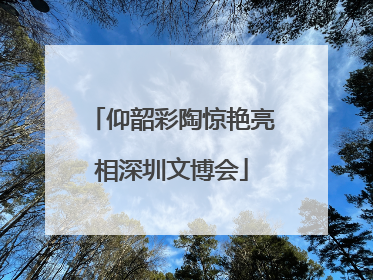 仰韶彩陶惊艳亮相深圳文博会