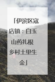 伊滨区寇店镇：白玉山药扎根 乡村土里生金