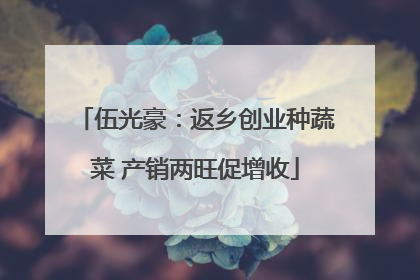 伍光豪：返乡创业种蔬菜 产销两旺促增收