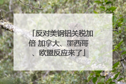 反对美钢铝关税加倍 加拿大、墨西哥、欧盟反应来了