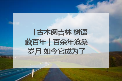 古木阅吉林 树语藏百年｜百余年沧桑岁月 如今它成为了“镇园之宝”