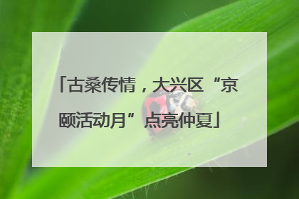 古桑传情，大兴区“京颐活动月”点亮仲夏