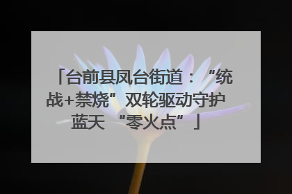 台前县凤台街道：“统战+禁烧”双轮驱动守护蓝天 “零火点”