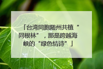 台湾同胞随州共植“同根林”，那是跨越海峡的“绿色情诗”