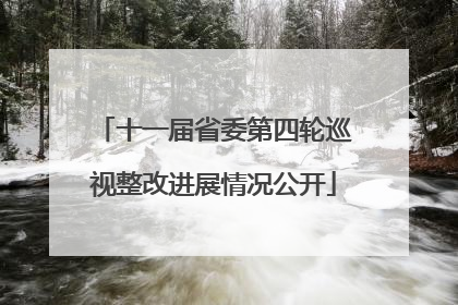 十一届省委第四轮巡视整改进展情况公开