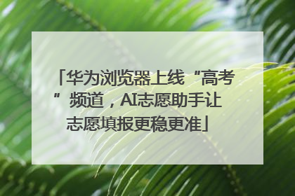 华为浏览器上线“高考”频道，AI志愿助手让志愿填报更稳更准