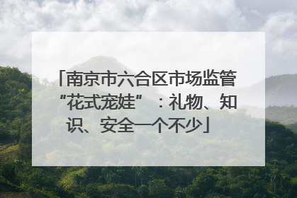 南京市六合区市场监管“花式宠娃”：礼物、知识、安全一个不少