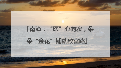 南漳：“医”心向农，朵朵“金花”铺就致富路