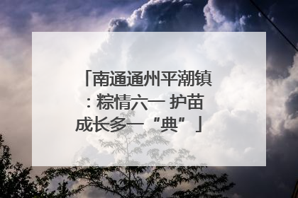 南通通州平潮镇：粽情六一 护苗成长多一“典”