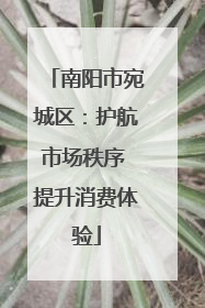 南阳市宛城区：护航市场秩序 提升消费体验