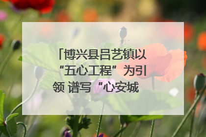 博兴县吕艺镇以“五心工程”为引领 谱写“心安城市”建设新篇章