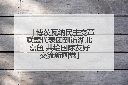 博茨瓦纳民主变革联盟代表团到访湖北嘉鱼 共绘国际友好交流新画卷