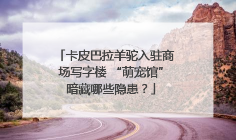 卡皮巴拉羊驼入驻商场写字楼 “萌宠馆”暗藏哪些隐患？