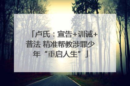 卢氏：宣告+训诫+普法 精准帮教涉罪少年“重启人生”