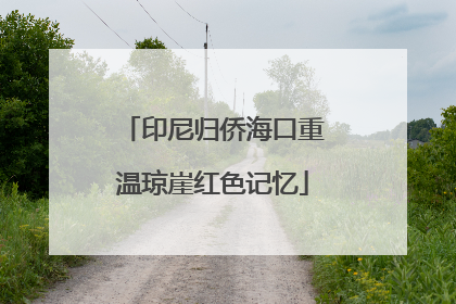 印尼归侨海口重温琼崖红色记忆