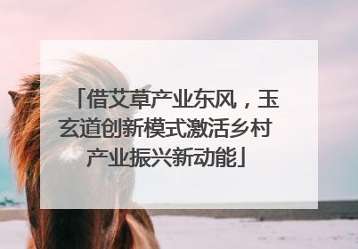 借艾草产业东风，玉玄道创新模式激活乡村产业振兴新动能