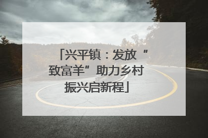 兴平镇：发放“致富羊”助力乡村振兴启新程