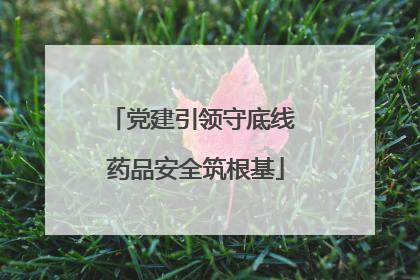 党建引领守底线 药品安全筑根基