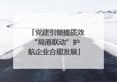 党建引领提质效 “局港联动”护航企业合规发展