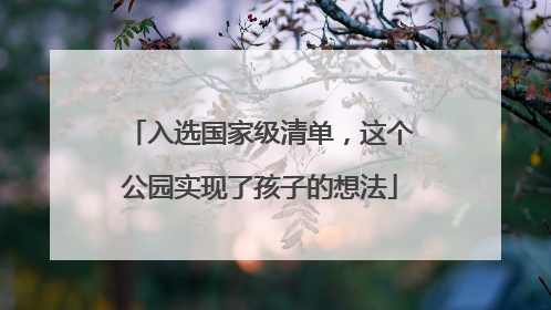 入选国家级清单，这个公园实现了孩子的想法