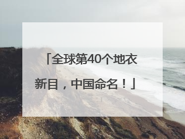 全球第40个地衣新目，中国命名！