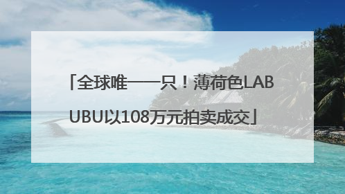 全球唯一一只！薄荷色LABUBU以108万元拍卖成交