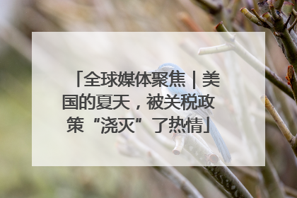 全球媒体聚焦｜美国的夏天，被关税政策“浇灭”了热情