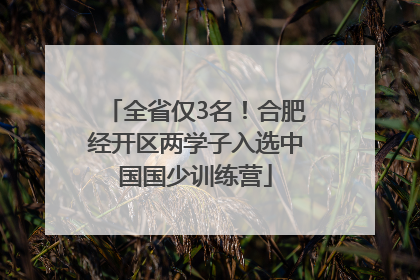 全省仅3名！合肥经开区两学子入选中国国少训练营