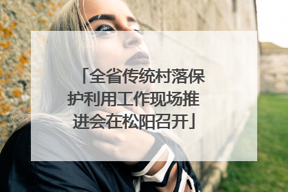 全省传统村落保护利用工作现场推进会在松阳召开