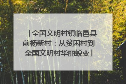 全国文明村镇临邑县前杨新村：从贫困村到全国文明村华丽蜕变