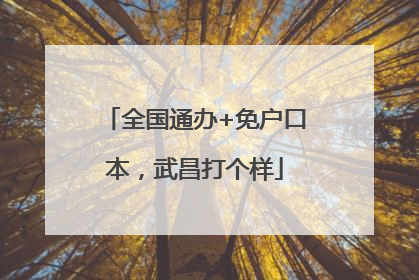 全国通办+免户口本，武昌打个样
