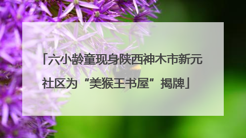 六小龄童现身陕西神木市新元社区为“美猴王书屋”揭牌