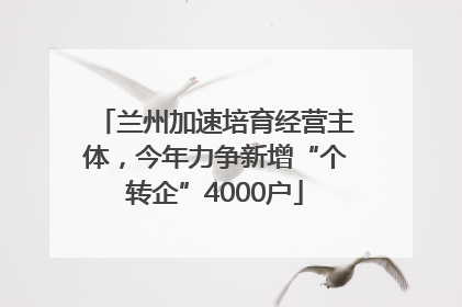 兰州加速培育经营主体，今年力争新增“个转企”4000户