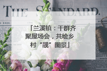兰溪镇：干群齐聚屋场会，共绘乡村“靓”图景