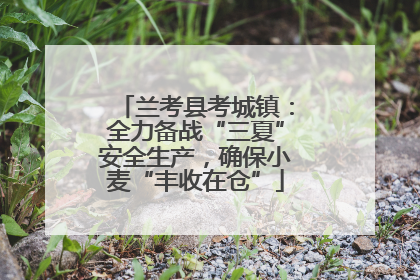 兰考县考城镇：全力备战“三夏”安全生产，确保小麦“丰收在仓”