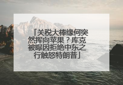 关税大棒缘何突然挥向苹果？库克被曝因拒绝中东之行触怒特朗普